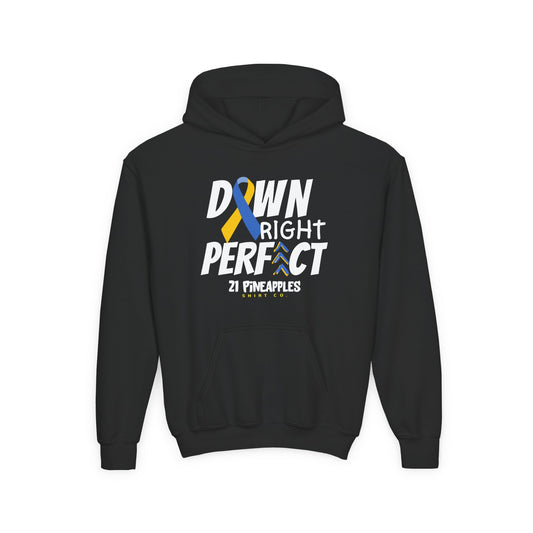 Down Right Perfect YOUTH Hoodie