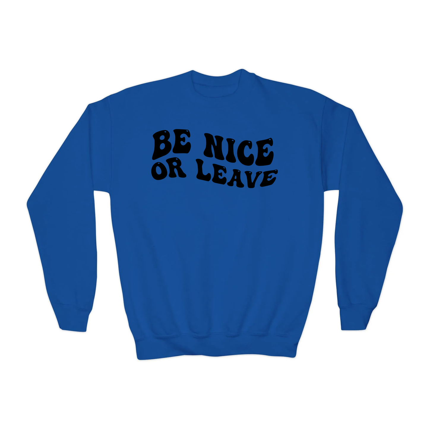 Be Nice Or Leave YOUTH Crewneck
