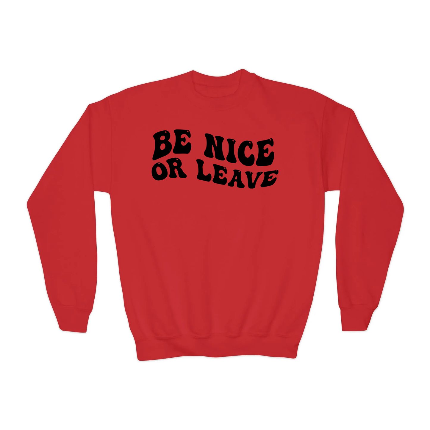Be Nice Or Leave YOUTH Crewneck