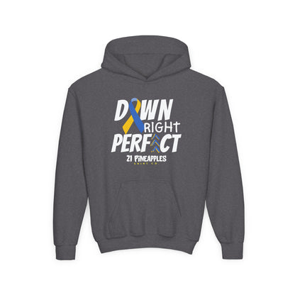 Down Right Perfect YOUTH Hoodie